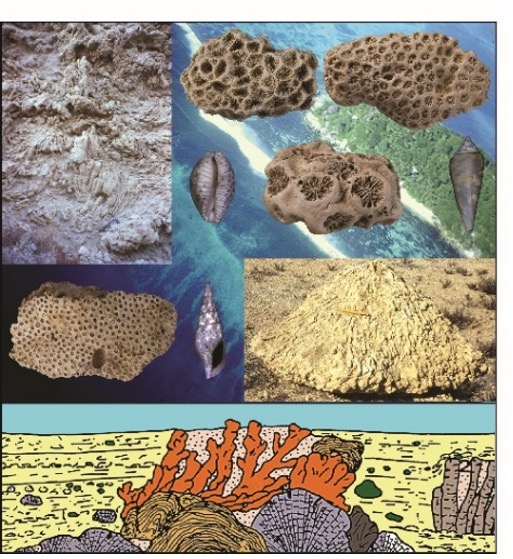 Société des Sciences Naturelles de La Charente-Maritime