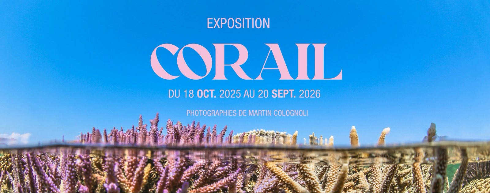 Société des Sciences Naturelles de La Charente-Maritime