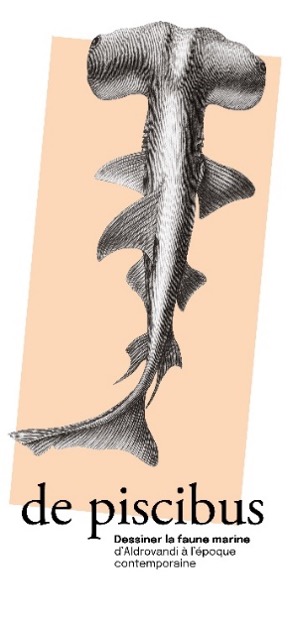 Société des Sciences Naturelles de La Charente-Maritime