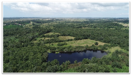 Société des Sciences Naturelles de La Charente-Maritime